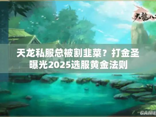 天龙私服总被割韭菜？打金圣曝光2025选服黄金法则