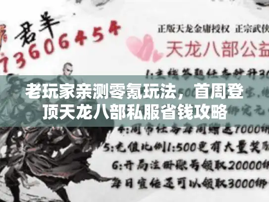 老玩家亲测零氪玩法，首周登顶天龙八部私服省钱攻略