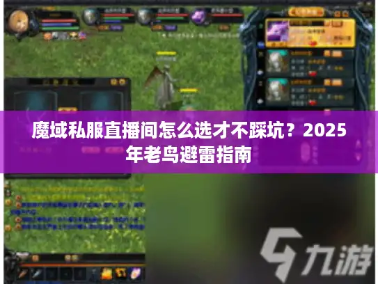 魔域私服直播间怎么选才不踩坑？2025年老鸟避雷指南