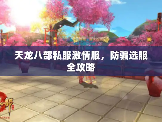 天龙八部私服激情服，防骗选服全攻略