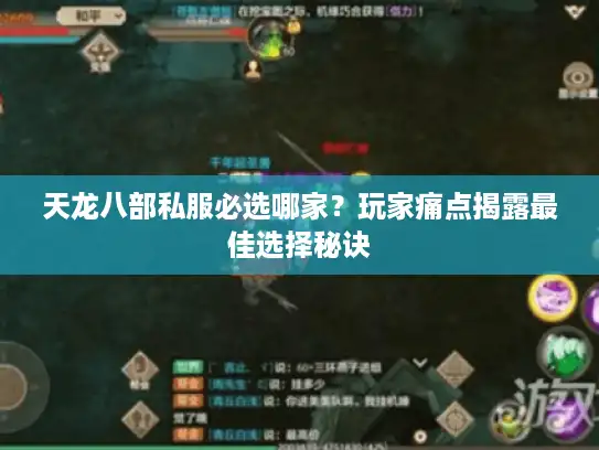 天龙八部私服必选哪家?玩家痛点揭露最佳选择秘诀 天龙八部私服必选哪家?玩家痛点揭露最佳选择秘诀