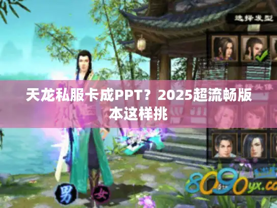 天龙私服卡成PPT？2025超流畅版本这样挑