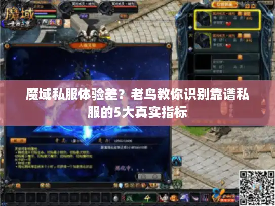 魔域私服体验差？老鸟教你识别靠谱私服的5大真实指标