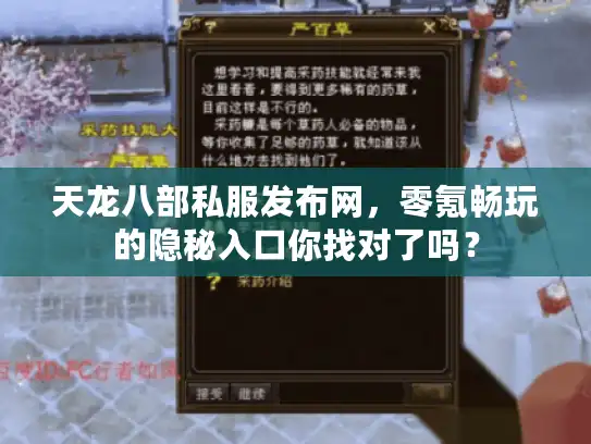 天龙八部私服发布网，零氪畅玩的隐秘入口你找对了吗？