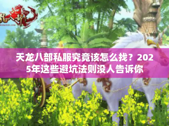 天龙八部私服究竟该怎么找?2025年这些避坑法则没人告诉你 天龙八部私服究竟该怎么找?2025年这些避坑法则没人告诉你