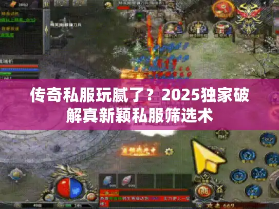 传奇私服玩腻了？2025独家破解真新颖私服筛选术