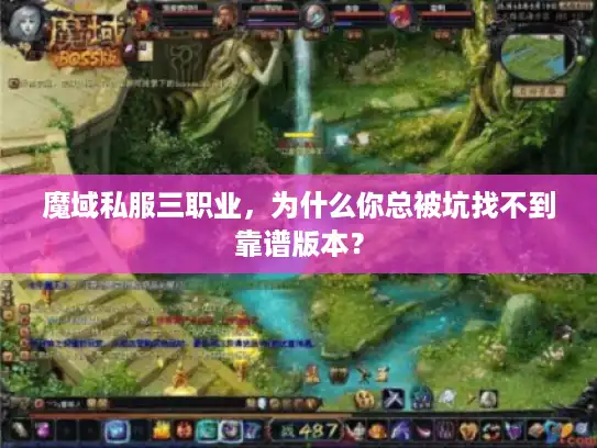 魔域私服三职业,为什么你总被坑找不到靠谱版本? 魔域私服三职业,为什么你总被坑找不到靠谱版本?