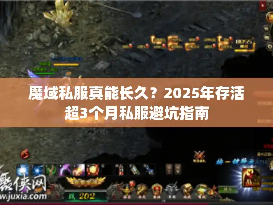 魔域私服真能长久？2025年存活超3个月私服避坑指南
