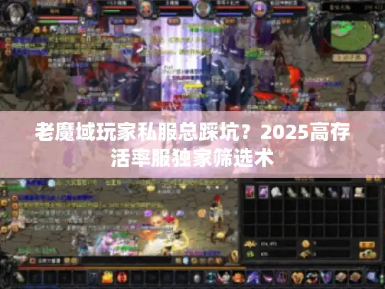老魔域玩家私服总踩坑？2025高存活率服独家筛选术