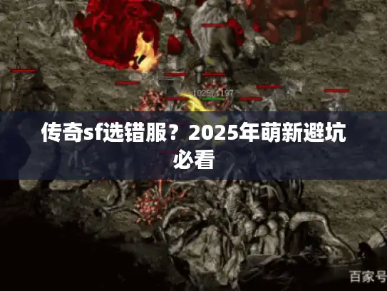 传奇sf选错服？2025年萌新避坑必看