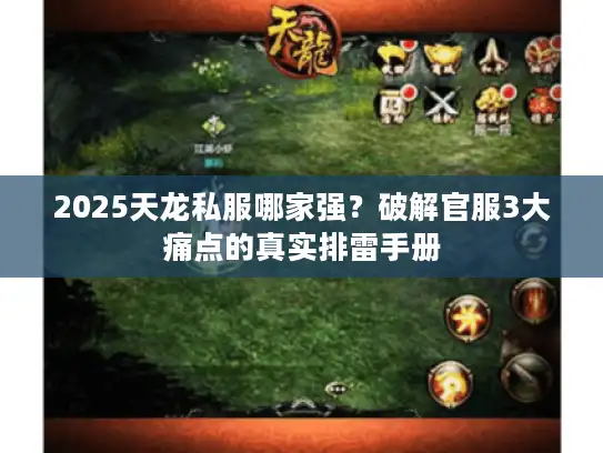 2025天龙私服哪家强？破解官服3大痛点的真实排雷手册