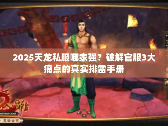 2025天龙私服哪家强？破解官服3大痛点的真实排雷手册