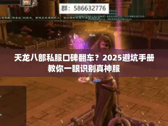 天龙八部私服口碑翻车？2025避坑手册教你一眼识别真神服