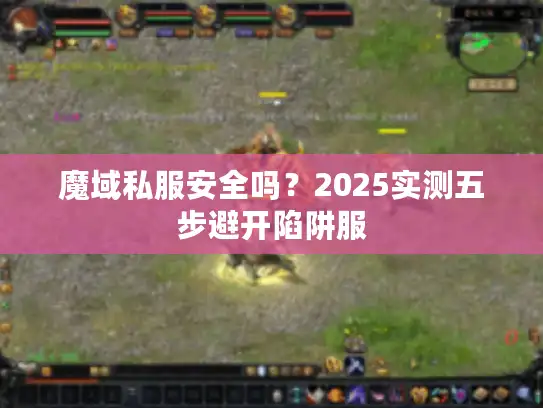 魔域私服安全吗？2025实测五步避开陷阱服
