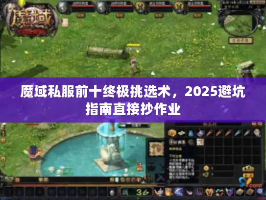 魔域私服前十终极挑选术，2025避坑指南直接抄作业