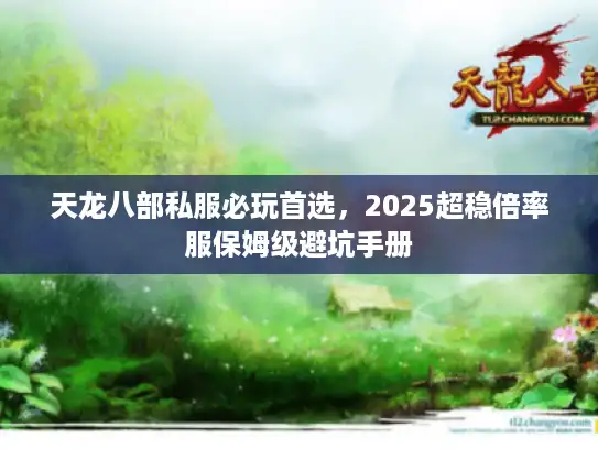 天龙八部私服必玩首选,2025超稳倍率服保姆级避坑手册 天龙八部私服必玩首选,2025超稳倍率服保姆级避坑手册