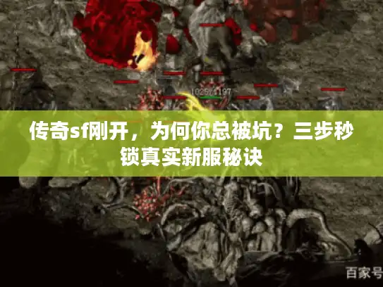 传奇sf刚开，为何你总被坑？三步秒锁真实新服秘诀