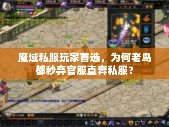 魔域私服玩家首选,为何老鸟都秒弃官服直奔私服? 魔域私服玩家首选,为何老鸟都秒弃官服直奔私服?