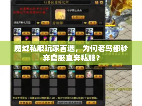魔域私服玩家首选,为何老鸟都秒弃官服直奔私服? 魔域私服玩家首选,为何老鸟都秒弃官服直奔私服?
