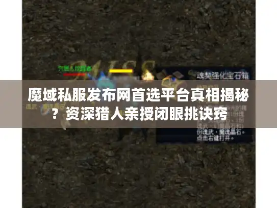 魔域私服发布网首选平台真相揭秘？资深猎人亲授闭眼挑诀窍