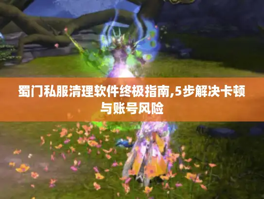 蜀门私服清理软件终极指南,5步解决卡顿与账号风险