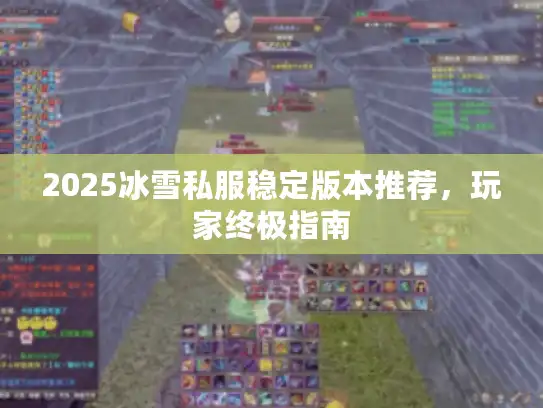 2025冰雪私服稳定版本推荐，玩家终极指南