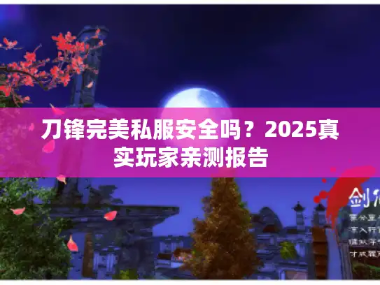 刀锋完美私服安全吗？2025真实玩家亲测报告