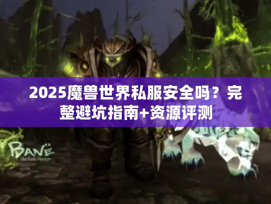 2025魔兽世界私服安全吗？完整避坑指南+资源评测