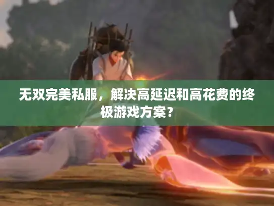 无双完美私服,解决高延迟和高花费的终极游戏方案? 无双完美私服,解决高延迟和高花费的终极游戏方案?