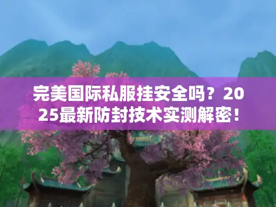 完美国际私服挂安全吗？2025最新防封技术实测解密！