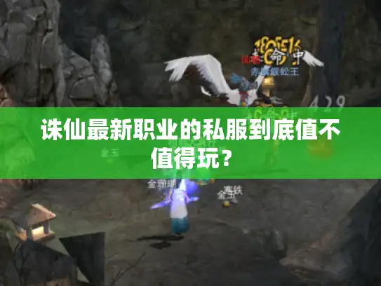 诛仙最新职业的私服到底值不值得玩？