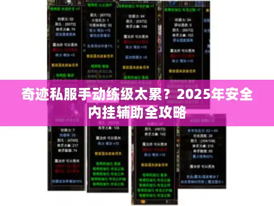 奇迹私服手动练级太累？2025年安全内挂辅助全攻略