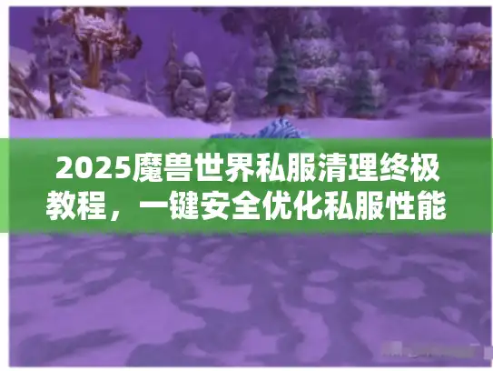 2025魔兽世界私服清理终极教程，一键安全优化私服性能