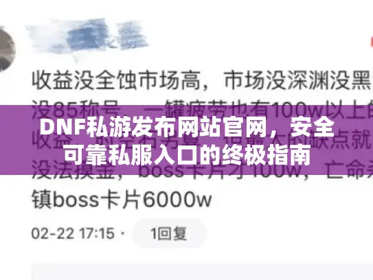 DNF私游发布网站官网，安全可靠私服入口的终极指南