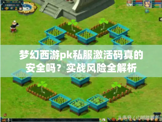 梦幻西游pk私服激活码真的安全吗？实战风险全解析