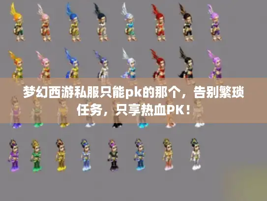 梦幻西游私服只能pk的那个，告别繁琐任务，只享热血PK！