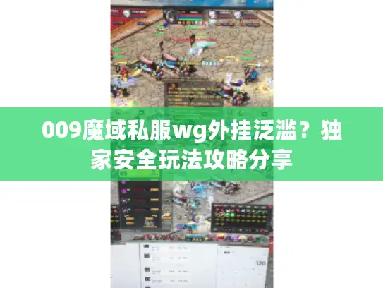 009魔域私服wg外挂泛滥？独家安全玩法攻略分享