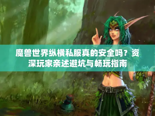 魔兽世界纵横私服真的安全吗？资深玩家亲述避坑与畅玩指南