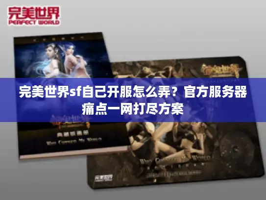 完美世界sf自己开服怎么弄？官方服务器痛点一网打尽方案