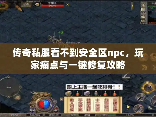 传奇私服看不到安全区npc，玩家痛点与一键修复攻略