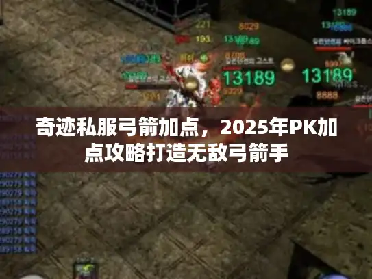 奇迹私服弓箭加点，2025年PK加点攻略打造无敌弓箭手