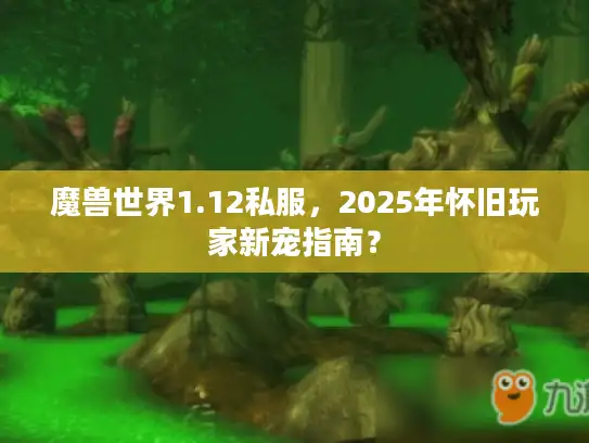 魔兽世界1.12私服，2025年怀旧玩家新宠指南？