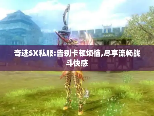 奇迹SX私服:告别卡顿烦恼,尽享流畅战斗快感