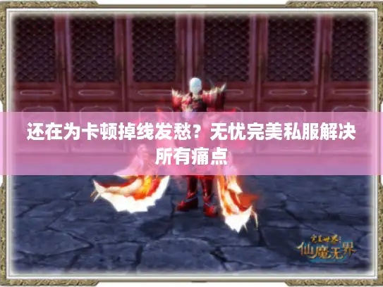 还在为卡顿掉线发愁？无忧完美私服解决所有痛点