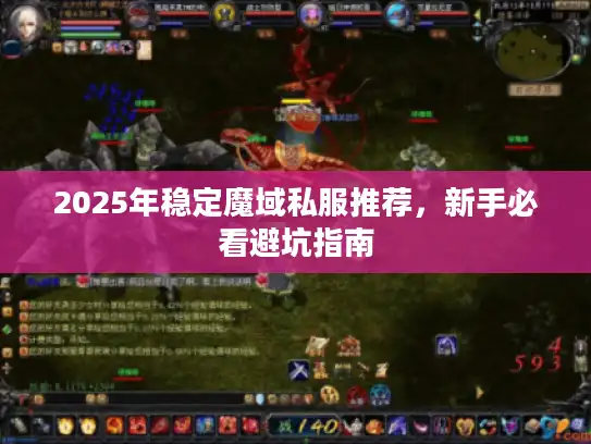 2025年稳定魔域私服推荐，新手必看避坑指南