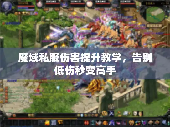 魔域私服伤害提升教学，告别低伤秒变高手