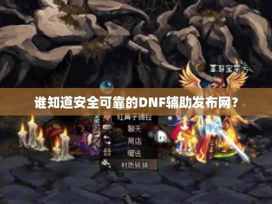 谁知道安全可靠的DNF辅助发布网？