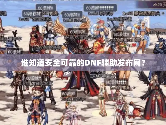 谁知道安全可靠的DNF辅助发布网？