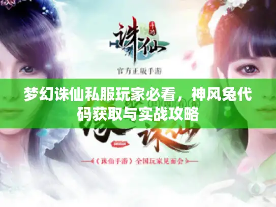 梦幻诛仙私服玩家必看，神风兔代码获取与实战攻略