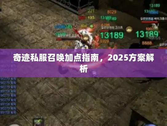 奇迹私服召唤加点指南，2025方案解析